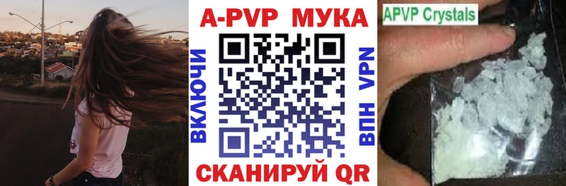  COCAIN Староминская