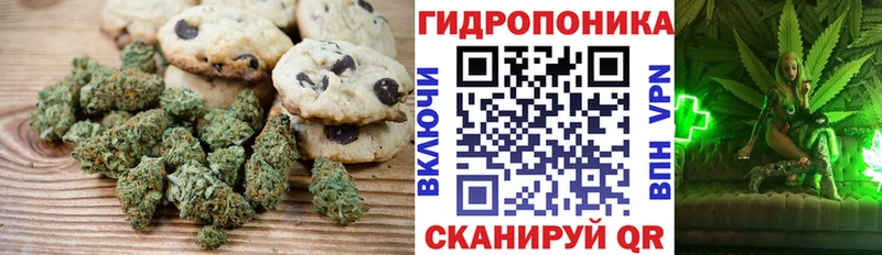 Cannafood конопля  Купить где  Староминская 