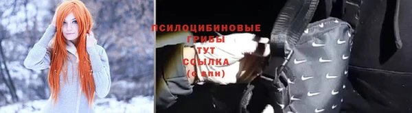 трава Щёлкино