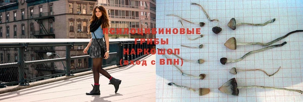 трава Щёлкино